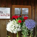 公寓 Haus Rosi Trenkle 普夫龙滕