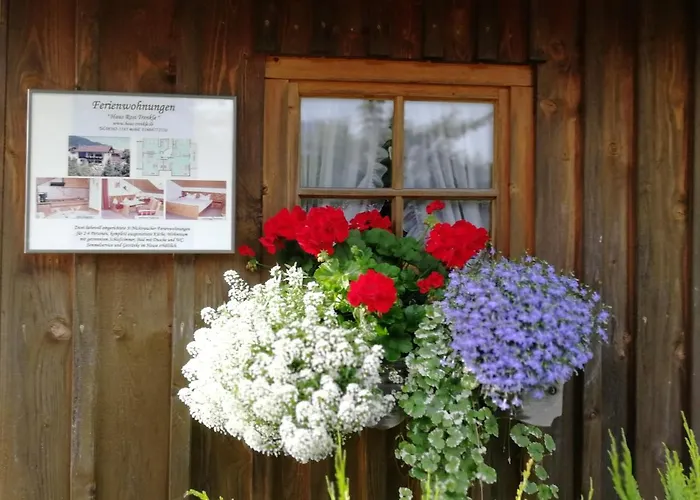 Lejlighed Haus Rosi Trenkle Pfronten