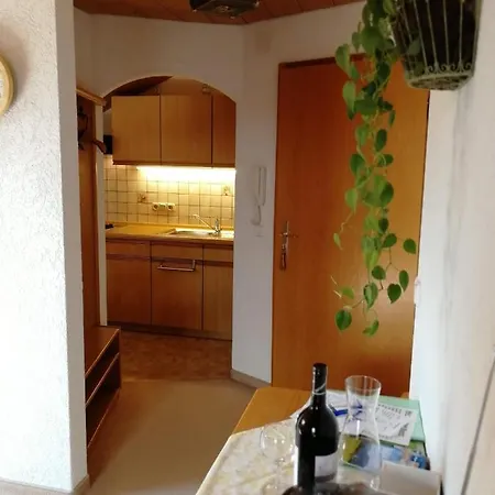 Haus Rosi Trenkle Appartement