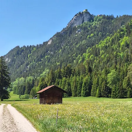 Haus Rosi Trenkle Διαμέρισμα